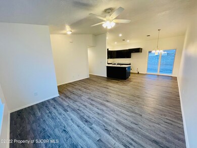 325 Valle Bonita St, Farmington, NM 87401 - photo 5