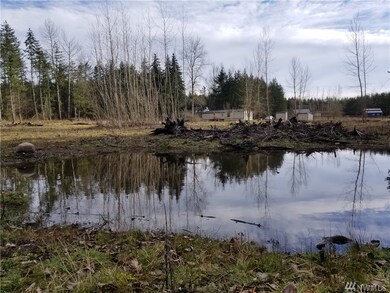 1417 394th St S, Roy, WA 98580 - photo 3