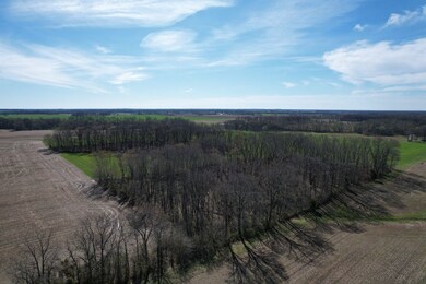 Off Pintail Rd unit Lot WP002, Tamaroa, IL 62888 - photo 7
