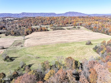 5360 Old Snapps Ferry Rd, Limestone, TN 37681 - photo 3