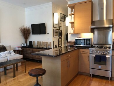 643 Tremont St unit 1, Boston, MA 02118 - photo 4