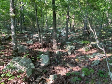 291 Wildwood Ln, Marshall, AR 72650 - photo 6