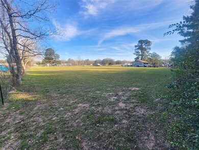 0 Jonesville Rd, Hockley, TX 77447 - photo 3