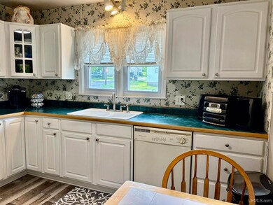 318 S Moore St, Bessemer, MI 49911 - photo 4