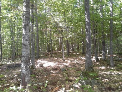 Lot 3 Kansas Rd, Bridgton, ME 04009 - photo 2