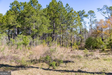 0 Lost Rd, Arabi, GA 31712 - photo 7