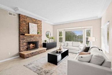 2909 Olive View Rd, Alpine, CA 91901 - photo 3