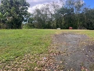 Calle Juan Ramos Bo Guaraguao, Guaynabo, PR 00969 - photo 4