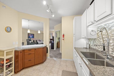 Village Grace Condominiums unit 219, Chaska, MN 55318 - photo 7