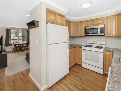 40 Bacon St unit 2, Waltham, MA 02451 - photo 6