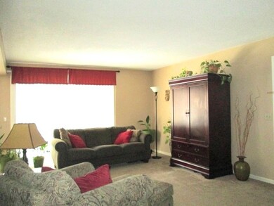 Spacious Living Room