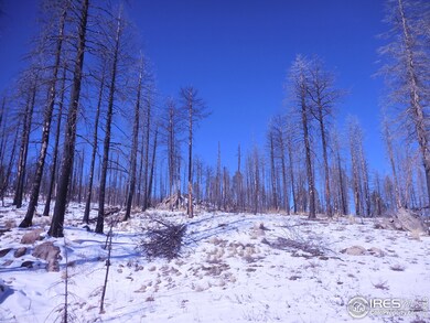 0 Davis Ranch Rd unit 784426, Bellvue, CO 80512 - photo 5