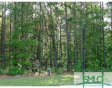 Land/Lot. no building permitted behind the lot.