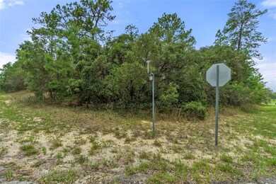 6184 W Eldorado Ln, Beverly Hills, FL 34465 - photo 2