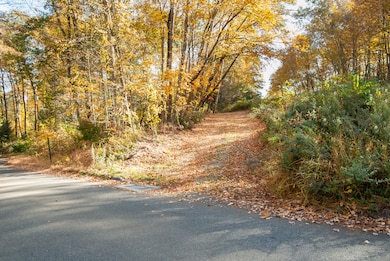 Main driveway into the property