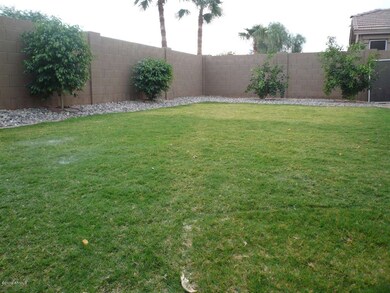 Relaxing Backyard