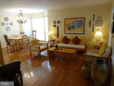 13161 Ruby Lace Ct, Herndon, VA 20171 - photo 6