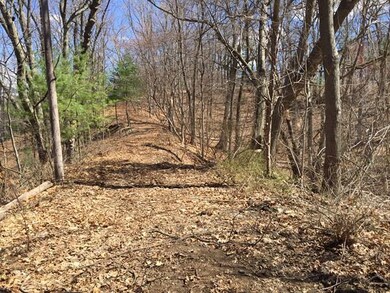 00 Shears St, Wrentham, MA 02093 - photo 7