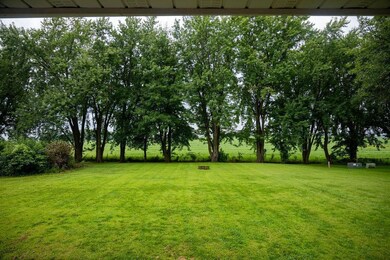 Back Yard on edge of town