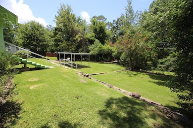 Amazing back yard