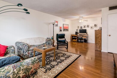 13665 N Garden Court Dr, Sun City, AZ 85351 - photo 3