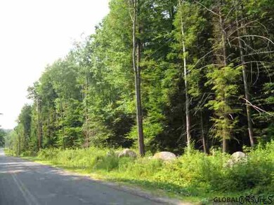 24 Lincoln Mountain Rd, Greenfield Center, NY 12833 - photo 5