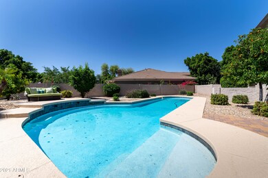 backyard (1)