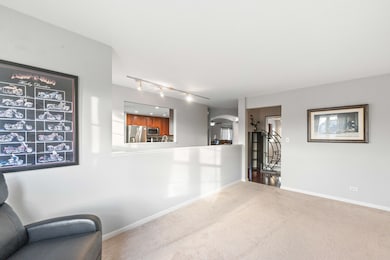 32802 Fowler Cir, Warrenville, IL 60555 - photo 4