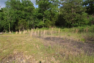 10864 Bray Rd, Elkins, AR 72727 - photo 5