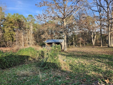 43565 St Highway 181-Pvt Dr-B, Vanzant, MO 65768 - photo 7