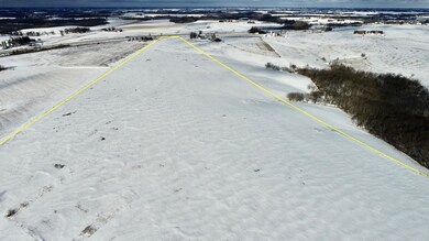 xxx County 12, Wiscoy Township, MN 55987 - photo 2