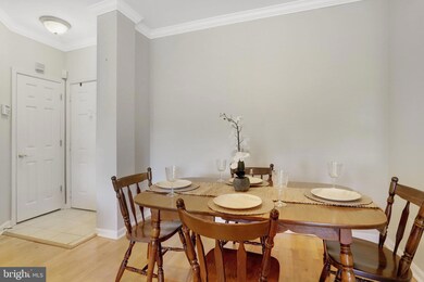 4550 Strutfield Ln unit 2211, Alexandria, VA 22311 - photo 7