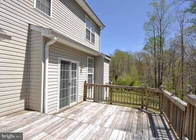 6902 Xandu Ct, Fredericksburg, VA 22407 - photo 6