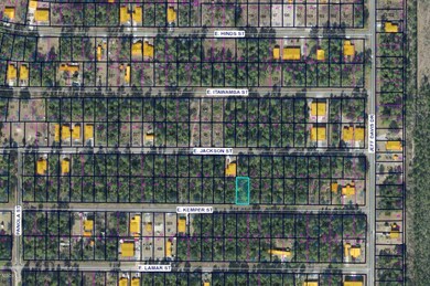 Lot 40 E Kemper St, Bay Saint Louis, MS 39520 - photo 4