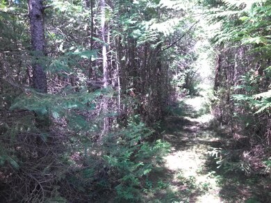 deer trail