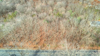 3615 Allegan Dam Rd unit LOT B, Valley Township, MI 49010 - photo 4