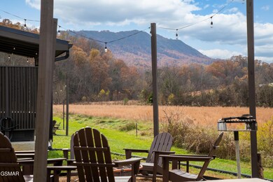 984 Goose Gap Rd unit 11, Sevierville, TN 37876 - photo 2