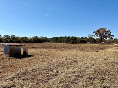 6.74 Acres Huskey Rd, Dothan, AL 36303 - photo 3