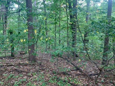 0 St Neots Ln unit 1194087, Bella Vista, AR 72714 - photo 5