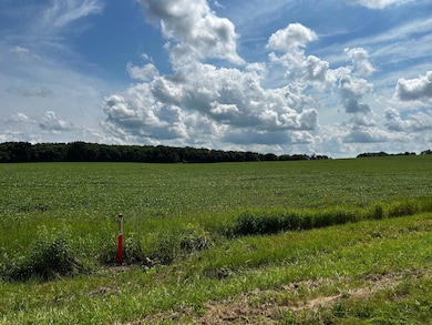 XX TBD Mellgren Ln, Chaska, MN 55318 - photo 7