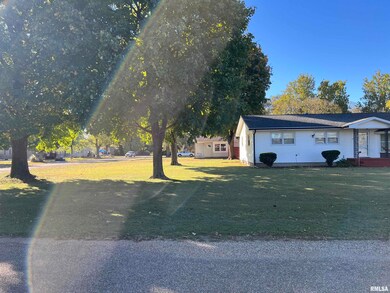 117 E Chrisman Dr, Meredosia, IL 62665 - photo 3