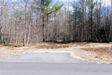 90 Grandview Rd, Conway, NH 03860 - photo 4