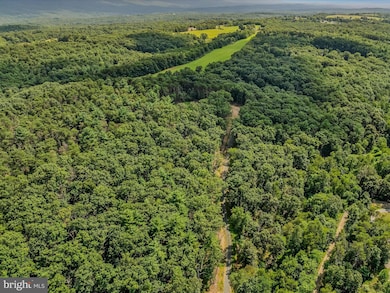 7 Miller Ln, Berkeley Springs, WV 25411 - photo 2