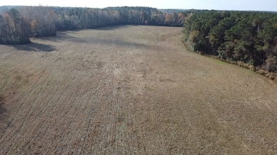 Gaddy Rd, Fairmont, NC 28340 - photo 4