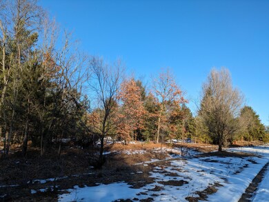 PXL_20240203_210525706