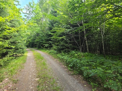 L 5 Ackley Pond Rd, Mount Chase, ME 04765 - photo 7