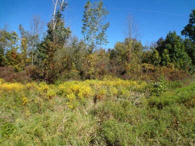 0 135th Ave, Hopkins Township, MI - photo 2