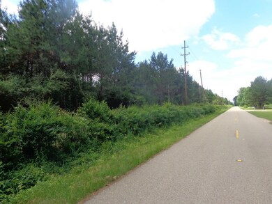 0 Pico Rd, Franklinton, LA 70438 - photo 3