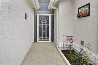 11 Byrsonima Loop, Homosassa, FL 34446 - photo 3