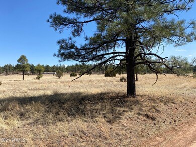 0 Lodge Rd unit 6321486, Aripine, AZ 85933 - photo 6